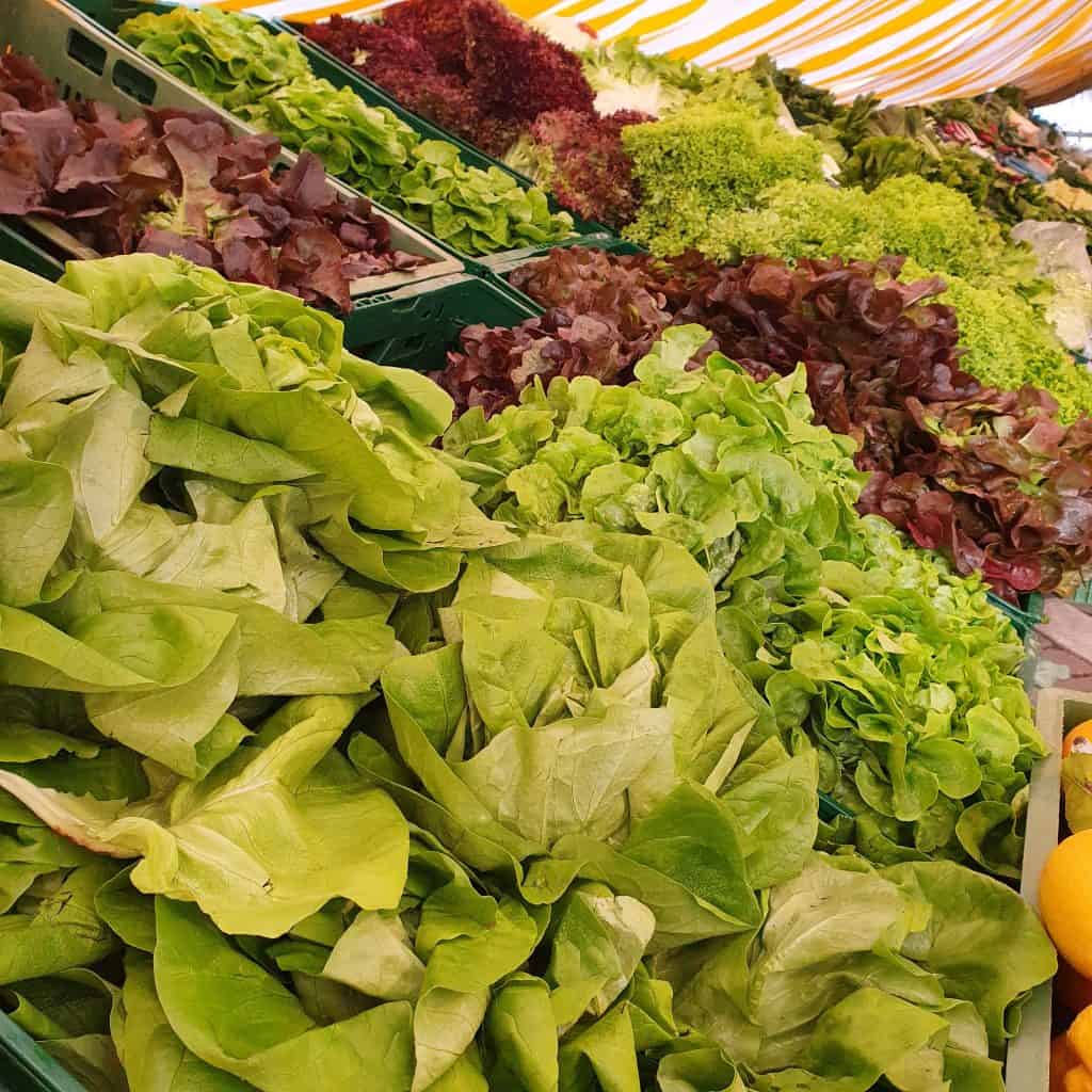 Knackige Salate aus der Region